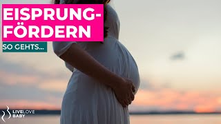 Gebärmutterschleimhaut aufbauen  Einnistung fördern im Kinderwunsch I Einfache Tipps I Teil 2 [upl. by Enirhtac]