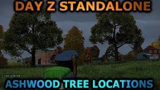 DayZ StandaloneHow Ashwood Trees Look and Location  DAT Gamer Tutorial [upl. by Tacy]