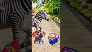 rabbit and zebras take my kinder joy cat cutecat trendingshorts [upl. by Inkster]