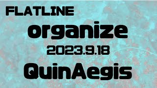 【FLATLINE ORGANIZE 2023】SC4「QuinAegis」 [upl. by Grim]