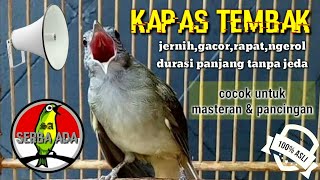 Masteran Suara Burung Kapas Tembak Gacor Pilihan Juri Senasional Durasi Panjang kapastembak [upl. by Nnair]