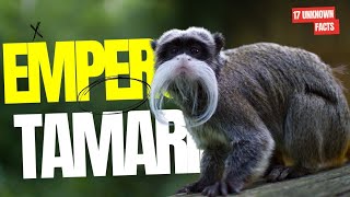 Emperor Tamarin Monkey in 17 Unknown Facts [upl. by Paulie]