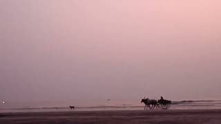 seashore bullock cart moon n relaxed eve [upl. by Babs]