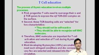 Mod13 Lec27 T cell Activation  Differentiation [upl. by Cicero]