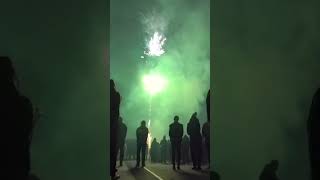 Fireworks Show Colorful Fireworks SkyMagicNightLightsFestivalcelebrationshortsfeedshortvideo [upl. by Hsac]