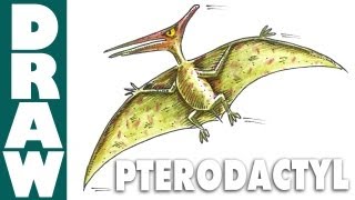 How to Draw a Pterodactyl [upl. by Ahsemat]