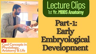 Embryology Anatomy Early Embryological Development Part1  1st Year MBBS [upl. by Urbana]