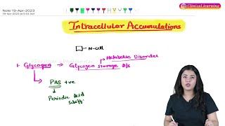 Intracellular Accumulations Pathology Hindi Lecture [upl. by Ricketts]