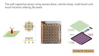 What is Affective Touch Made Of A Soft Capacitive Sensor Array Reveals the Interplay between She [upl. by Brenden730]