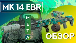 ОБЗОР на Mk 14 EBR  Stalcraft X [upl. by Piselli]