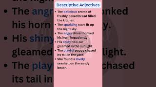 Descriptive Adjectives Examples  English Grammar shorts [upl. by Zined]