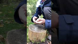 Steinschleuder basteln victorinox diy wood nature funny basteln tipps shorts survival [upl. by Fleisig280]