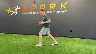 Functionally Fit Stationary Lunge with Long Step [upl. by Stroud]