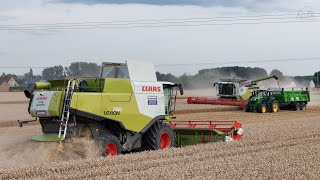 🌾MOISSON DES BLÉS 2024  165m de COUPE  CLAAS LEXION 760 amp 750 [upl. by Saturday]