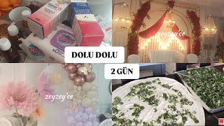 DOLU DOLU 2 GÜN  ISPANAKLI BÖREK TARİFİ  KEDİ DİLLİ PASTA TARİFİ  BEBEK MEVLÜDÜ  6 AY KINASI [upl. by Nerte]