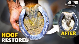 4K FARRIER ASMR  Satisfying Full Horse Hoof Restoration [upl. by Aizatsana]