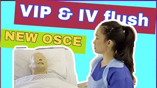 Visual Infusion Phlebitis VIP and IV cannula flush OSCE 2021 [upl. by Ettevi]