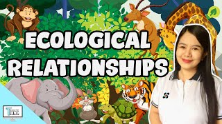 Ecological Relationships Predation Commensalism Mutualism Parasitism Competition  Biology [upl. by Assirat]