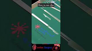 How to cut Ribs anatomy science technology cardiachealth nursing nursingstudent nursingschool [upl. by Brindle]