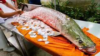 Thai Food  GIANT MONSTER FISH Bangkok Seafood Thailand [upl. by Nolubez]