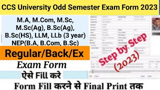 How to Fill CCS University Odd Semester Examination Form 2023  Odd Semester Exam form fill up [upl. by Gearard]