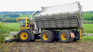 Flotter «Chäfer» EigenbauBunkerhäcksler von Bucher Erntetechnik AG [upl. by Mildred]