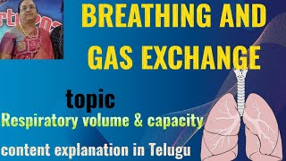 BREATHING and EXCHANGE OF GASES topic RESPIRATORY VOLUMSampCAPACITY [upl. by Eolcin]