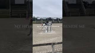 Doudou🥰 horse equestrian cheval pony evolution dressage horseriding showjumping edit [upl. by Yelknirb]