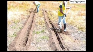 The Race Bottom Digger versus a Trenching Shovel [upl. by Kriste972]