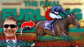 Exclusive Aidan OBriens Breeders Cup Stable Tour – Every Horse from City of Troy to Ylang Ylang [upl. by Nalyk808]