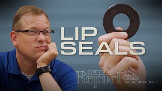 How Do Lip Seals Work [upl. by Kjersti]