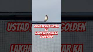 Check Karo  Ustad Arshed Golden ke lakha kabootar ka shok karo kabootarclub pigeon bird [upl. by Arres]