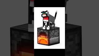 Minecraft Diamond Level Tuxedo Cat Action Figure [upl. by Enidlareg]