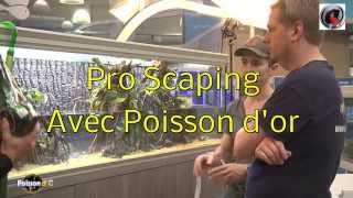 Pro scaping avec poisson dor [upl. by Sadnak]