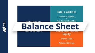 Balance Sheet [upl. by Mafalda488]