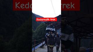 Kedarnath trek  horse ride kedarnath mountains horse shorts viralshort [upl. by Worsham]