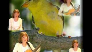 Yellow Bird song Chris Isaak cover 3 part harmony [upl. by Carry496]