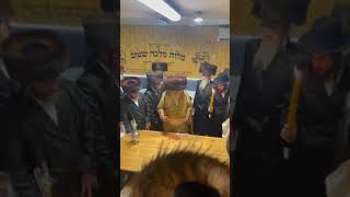 Toldos Aharon Rebbe Making Havdalah In Kerestir  Motzei Shabbos Chazon 5784 [upl. by Mailiw]