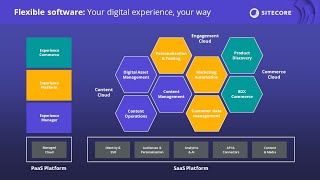 Sitecore Ecosystem Explained in Hindi [upl. by Alano678]