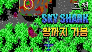 Sky Shark 1989MSDOS 1 Loop LONGPLAY 고전 비행기게임 스카이 샤크 왕까지 가봄 [upl. by Moskow]