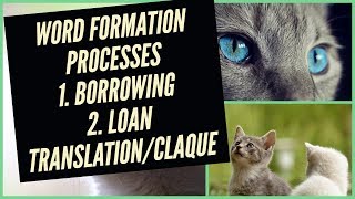 What is Borrowing  Loan Translation  Calque  Word Formation Processes  UrduHindi [upl. by Susumu985]