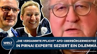 PIRNA quotDie verdammte Pflichtquot AfD stellt erstmals Oberbürgermeister Experte seziert ein Dilemma [upl. by Atiuqram]