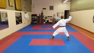 Shotokan Kata Kite Hidetaka Nishiyama Ryu Corpus Christi Downtown Karate CCDK [upl. by Sutelc]