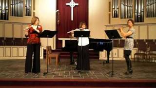 Mercadante Three Serenades for Three Flutes Flute Trio [upl. by Milissa]