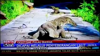 pulau biawak indramayu Miniatur Pulau Komodo [upl. by Drahnreb134]