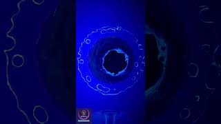 Fertilization Process in Lab Microscopic View shorts [upl. by Eixor]