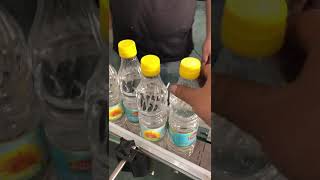 Wet glue labeling machine sticker labeller plastic pet bottles label applicator [upl. by Cam852]