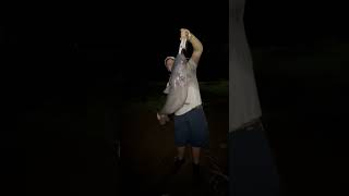 Big 25lb Catfish at Big Rock Park Pt2 big viralvideo shortvideo fish catfishing reels angler [upl. by Aylad]