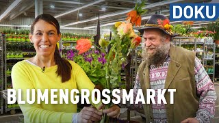 Blumen vom Großmarkt – regional hats schwer  doku  erlebnis hessen [upl. by Rafaelia]