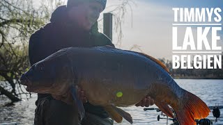 Karpfenangeln in Belgien  Timmys Lake  Karpfen Ultras  Videotagebuch 110 [upl. by Amalbena622]